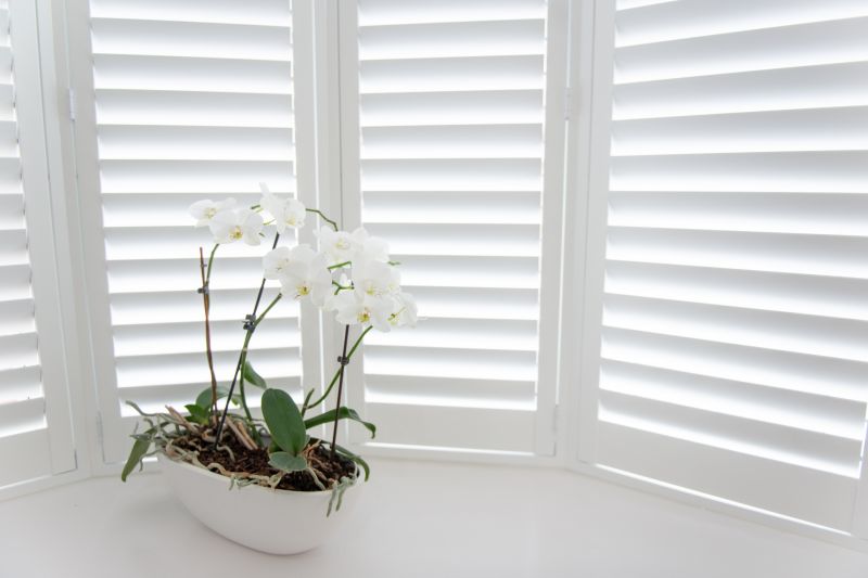 Window Shutter Installation in Arvada, CO