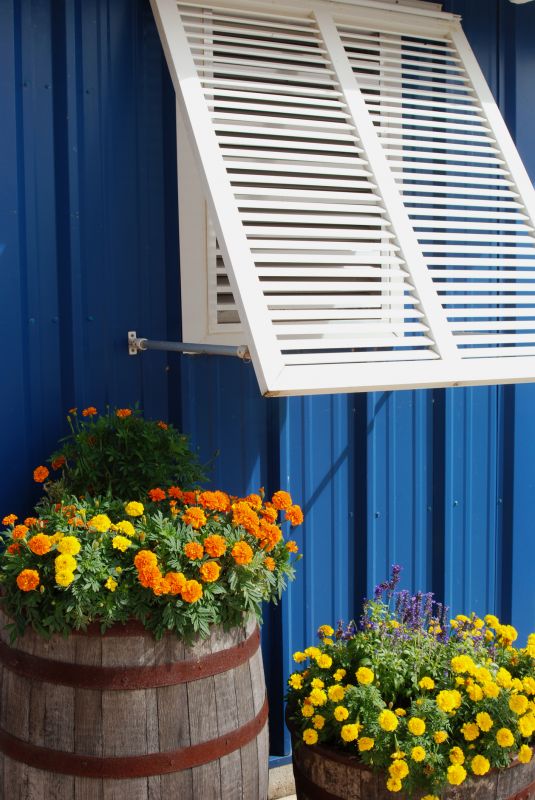 Window Shutters Replacement in Boulder, CO